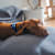 When to Replace Your Dog's Bed (& How to Care for It)