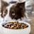 Thanksgiving Foods Pets Can Eat 