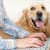 How to Fill Your Pet's Prescription at Petco: Step-by-Step Guide