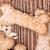 Can Dogs Eat Oatmeal? Benefits, Risks & How to Serve
