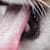 Cat Hairballs: Causes, Prevention & When to Worry