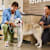 Heartworm Prevention 101: What Every Dog Owner Needs to Know