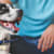 Why Your Dog Needs a Routine: Reduce Stress & Improve Training