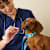 New to the Petco Family? What to Expect from Vet Visit to Product in Hand