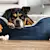 The Ultimate New Puppy Checklist: Everything You Need for Day One