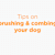 How Often Should You Brush Your Dog? Coat Type Guide & Tips