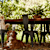 5 Ways to Become a More Sustainable Pet Parent