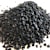 Activated Carbon in Aquarium Filters: Complete Guide