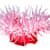 Anemone Care Guide: Tank, Food, & Compatibility for Experienced Aquarists