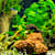 Aquarium Hardscape: The Complete Setup Guide