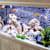 Aquarium Water Quality: Master Healthy Fish & Crystal Clear Tanks