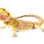 Arid Lizard Care: Expert Tips for Optimal Habitat, Diet & Health