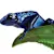Dart Frog Care: Create a Thriving Habitat & Ensure Healthy Frogs