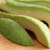 Can Dogs Eat Avocado? Toxic Dangers, Symptoms & Urgent Care Steps