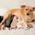 Caring for Newborn Puppies & Their Mother