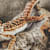 Heat Light for Lizards: Choosing the Right Reptile Lamp