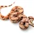 Boa Constrictor Care: The Ultimate Food, Habitat & Health Guide
