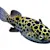 Brackish Water Fish Care: Your Complete Guide to Tank, Food & Species