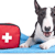 Puppy CPR: How to Resuscitate a Newborn Puppy