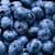 Can Cats Eat Blueberries? A Vet-Backed Guide