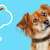 Can Dogs Eat Cinnamon? What Pet Parents Should Know