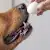 Can Dogs Eat Eggs? Yes — Here's How to Do It Safely