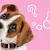 Can Dogs Eat Fish? Benefits, Risks & How to Serve It