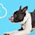 Can Dogs Eat Ham? What Pet Parents Should Know
