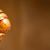 Can Dogs Eat Honey? What Pet Parents Should Know