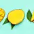 Can Dogs Eat Mango? Yes — Here's How to Serve It