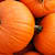 Can Dogs Eat Pumpkin? Benefits, Safety & How to Serve