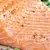 Can Dogs Eat Salmon? Benefits, Risks & How to Serve It