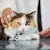 Veterinary Terminology Dictionary for Pet Parents
