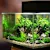 How to Take Care of Fish: Complete Beginner's Guide
