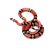 How to Care for Colubrid Snakes: Food, Habitat & Health Tips