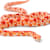 Corn Snake Care Guide: Habitat, Food, Health & Easy Beginner Tips