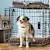 Easy Crate Training: Puppy & Dog Tips for a Calm, Happy Home