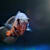 Fish Hole in the Head Disease: Identify Causes & Effective Treatment