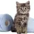 Is Your Cat At Risk? 6 Early UTI Signs Every Owner Must Know