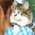 Signs Your New Cat Is Adjusting | First 24 Hours
