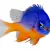 Damselfish Care: Expert Tips for a Thriving, Healthy Fish Tank