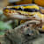 Do Snakes Poop? What's Normal & What's Not