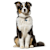 New Dog Owner's Guide: Feeding, Health, & Creating a Happy Home