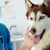 Dog Constipation: Symptoms, Causes & Home Remedies for Relief