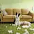 First-Time Dog Parent Tips: Your Complete Guide