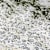 Why Your Fish Pond Foams: Causes, Solutions for a Clear Pond
