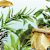 Why Are My Fish Swimming Erratically? Signs & Fixes