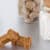 Fish Oil for Dogs: Benefits, Dosage, & Our Top Supplement Picks