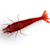 Freshwater Crustacean Care: Master Tank Setup, Food & Compatibility