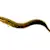 Ultimate Freshwater Eel Care Guide: Setup, Feeding, & Tank Mates